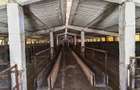Spațiu industrial -fermă Orțișoara - 2