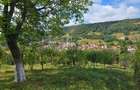 Casă de vânzare în exclusivitate, str. Română nr. 45, Sighisoara