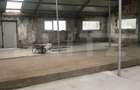 Hala Industriala, 175 mp, zona Exterior Sud - 8
