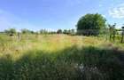Teren intravilan, 700 mp, Cosoveni - 1