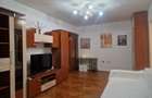EXCLUSIV - CAFROM IMOBILIARE - NORD Apartament 2 Camere de Vanzare - 10