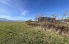 Teren intravilan 28000mp de vanzare in Talmaciu - 4