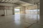 spatiu industrial zona Selimbar Sibiu - 5