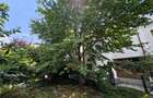 Apartament 4 camere / vila / Giulesti / Intr. Pinului / curte 54 mp / comision 0 - 10