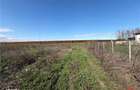 Teren intravilan 700mp in zona de Nord de vanzare - 7