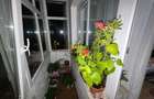 Apartament 3 camere - Podul de Piatra - 3