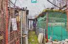 Apartament la casa pe Calea Timi?orii - 3