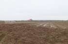 Teren 4000 mp lângă Pădurea Petrești | Investiție dezvoltare | Corbeanca - 4
