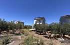 Complex exclusivist cu 3 vile individuale in Paralia Ofriniou Grecia - 7