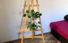 Apartament 2 camere Unirii | metrou | Pet Friendly | aer conditionat. - 6