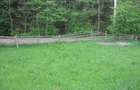 Teren intravilan Valea Doftanei - 10