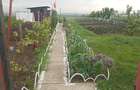 Teren Intravilan 470 mp Horle?ti, Comuna Rediu (Proprietar) - 6