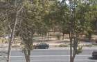 Zodiac - Parcul Tabacarie, 3 camere, 125.000 Euro - 1