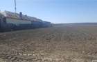 Teren extravilan Darmane?ti, Dambovi?a - 5