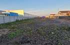 Vand teren intravilan 2500 mp Cazasu, Braila, pozitie excelenta! - 10