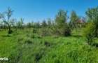 Vand loturi teren intravilan Bascov, Arges - 11