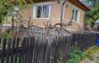 Casa cu teren 2.200 mp si anexe gospodaresti Stupini, Sanmihaiu de Campie, Bistrita-Nasaud - 1
