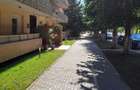 Apartament de vacanta, 2 camere, Neptun - 7