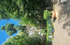 Apartament 3 Camere Etaj 5 9 - OBREGIA 110.000 Euro