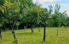 Casa de Vacan?a Teren 2.952 mp Cerna Vaideeni Jud Valcea 70.000 E - 18
