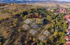 Teren extravilan 7.800 mp, ideal investi?ie, aproape de Bran