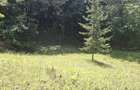 Teren intravilan Breaza Valea Prahovei 579 mp - 1