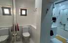 Apartament renovat si spatios Nae Leonard - 3