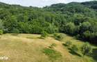 Teren + casa de vanzare pe Valea Gepisului,loc Gro?i - 2