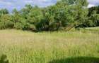 Teren intravilan de vanzare com. Chinteni | 2.900mp | - 4