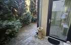 Proprietar vand apartament cu 2 camere Dumbravita Mc Donalds - 5
