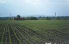 Teren 3500 mp extravilan