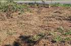 Teren intravilan 1000 mp-ideal casă de locuit, investitie-Zona Centura - 3