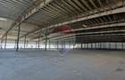 COMPLEX INDUSTRIAL & COMERCIAL PREMIUM | ILFOV - 3