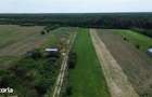 OCAZIE - Teren Intravilan - 8300 mp, Gruiu - Padurea Snagov - 4