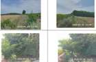 Teren padure, cota de 1/48 Horgesti, ID: R2325871 - 10