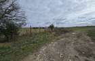 Comuna Amzacea- sat G.Scari?oreanu -Ferma zootehnica , teren 5,1ha - 7