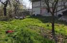 Proprietate completa 0,9 ha Casa P+1 + foi?or + livada + padure in spate Boga?i, Arge? - 10