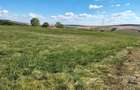 0% Comision! Teren intravilan, 1500 mp, frt 17 m,  la intrare in Rediu