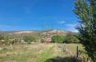 Casa de vanzare 96 mp+2200 mp teren, LOC. Colibi - 7