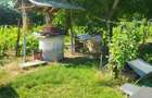 Casă cu 3 camere cu Teren 2000 Mp în Albina - 7