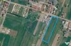 Teren 15,000mp Salcea-Prelipca, Suceava - Prelipca (Suceava)