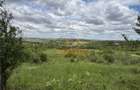 Teren Intravilan | 1.824 Mp | Dealuri | Oradea - 2