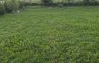 Teren deosebit, pret imbatabil - 2