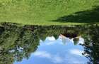 Vand teren superb intravilan in Bistra Muresului, 25.000 EUR - 2
