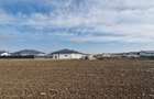 Vanzare teren Balotesti-Lahovari,strada Cameliei,intre case, 31000 euro