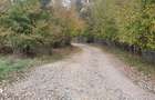 5 hectare / 4 loturi - Frasinet, Jud. Buzau - 3