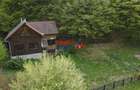 Casă de vacanță la pădure | Teren 891 mp | Valea Ighielului - 7