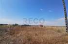 RECO Teren intravilan 500 mp Livada de bihor - 2