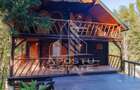 Pensiune, casa de vacanta, 6 camere, statiunea Rausor din Hunedoara - 29