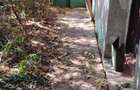 Casa de vanzare Peregu Mic jud Arad